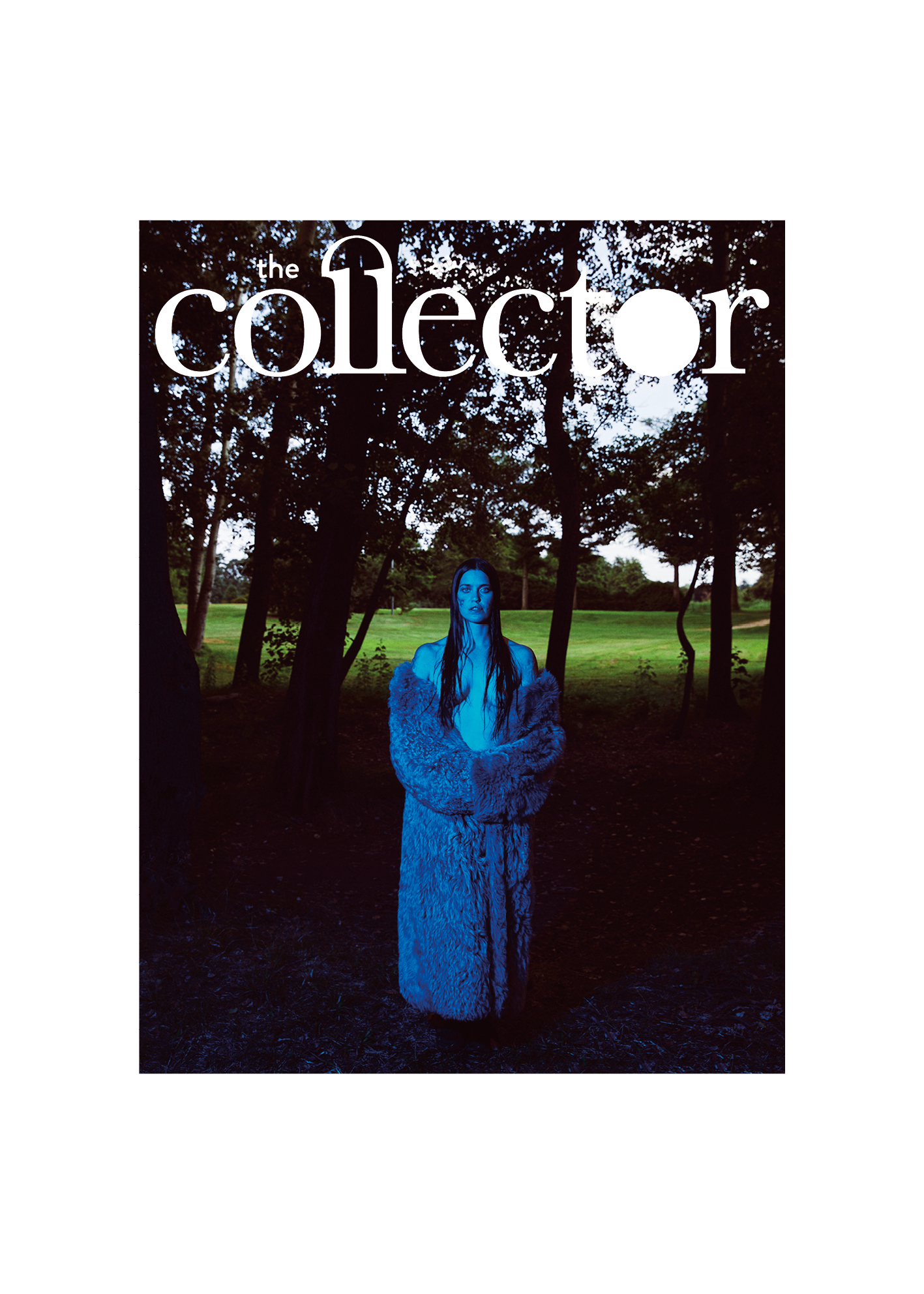 The Collector – Veronika Yoko